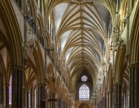 Vaulted nave ceiling roof of medieval Lincoln cathedral interior, city of Lincoln, Lincolnshire,