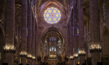 Nave, choir, rose window, rose window of the east front, round, church window, interior view, La