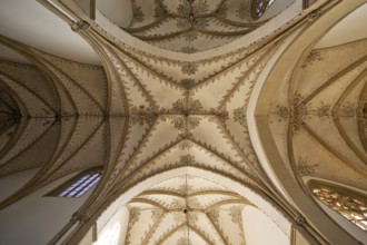 View of the cross vault, Liesborn Monastery Church, Wadersloh, Münsterland, North Rhine-Westphalia,