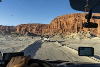 Ischigualasto Provincial Park, Villa San Agustín, San Juan Province, Argentina, South America