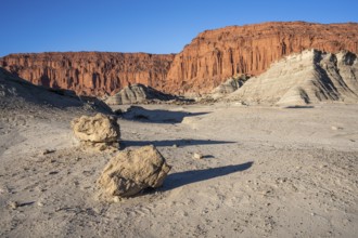 Ischigualasto Provincial Park, Villa San Agustín, San Juan Province, Argentina, South America