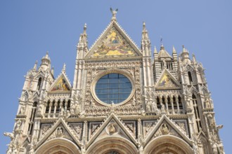 Cathedral of Siena, Cattedrale di Santa Maria Assunta, main church of the city of Siena, Tuscany,