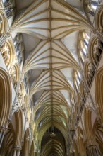 Vaulted nave ceiling roof of medieval Lincoln cathedral interior, city of Lincoln, Lincolnshire,