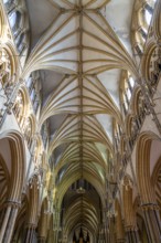 Vaulted nave ceiling roof of medieval Lincoln cathedral interior, city of Lincoln, Lincolnshire,