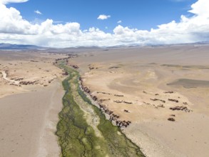 Rio Punilla, Los Nacimientos, Catamarca Province, Argentina, Aerial view of a desert with a narrow