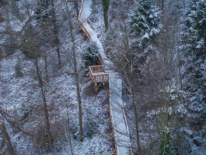 Wooden path in the snow-covered forest, surrounded by bare trees, New wooden walkway in the Calw