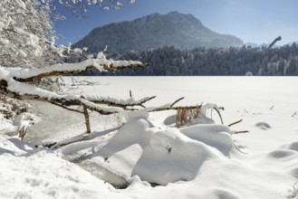 Freibergsee in winter, near Oberstdorf, behind it the Himmelschrofen, 1791m, and the Heini-Klopfer