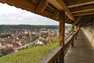 View from the city wall of the castle over vineyard to Esslingen am Neckar, Baden-Württemberg,