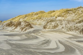 The East Frisian North Sea island of Juist in winter, dunes on the western part of the island, at