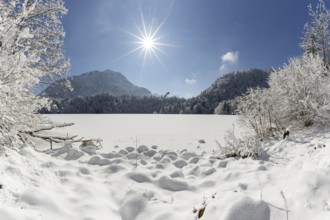 Freibergsee in winter, near Oberstdorf, behind it the Himmelschrofen, 1791m, and the Heini-Klopfer