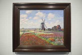 Tulip fields in Holland, painting by the french painter Claude Monet, Orsay museum, Paris, France,