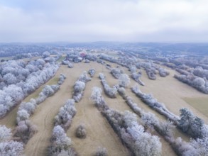 Sprawling fields and a village, photographed in winter, with a panorama of snow-covered trees,