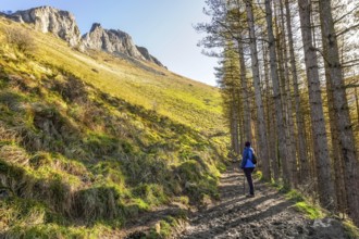 Hiker walking up on a path through the forest, enjoying the sunny day with mount txindoki in the