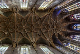 Liège, Liege, Basilica of St Martin (Basilique Saint-Martin), choir vault