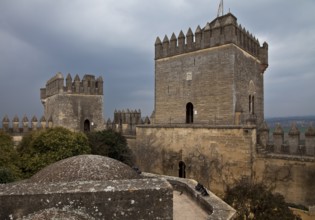 Spain Andalucia Almodóvar del Río Castle 52905