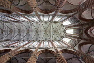 Vault in the choir, St., Saint, Saint