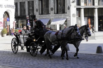 Traditional horse-drawn carriage on cobblestones against an urban backdrop, Vienna, Austria, Europe