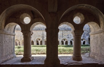 Cistercian monastery founded in 1146, cloister north wing biforium with view through to the east