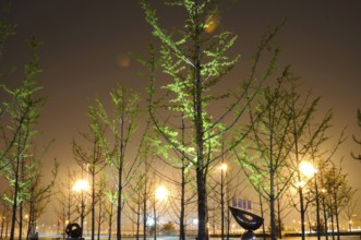 Night view of Olympic Games Complex, Beijing, China, Asia