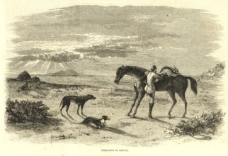 Hunting & animal views, preparing to return, India, Asia