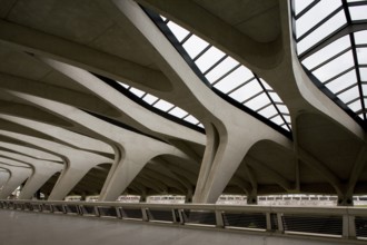 Lyon, Gare de Saint-Exupéry TGV, (formerly Gare de Satolas)