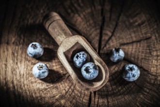 Bilberries in vintage spoon on grunge board