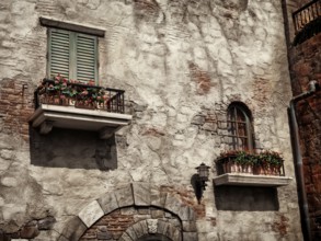 Old rustic house windows with flowers, antique architecture in Venetian style sepia toned