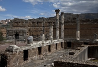 Corinthian columns at the fish pond