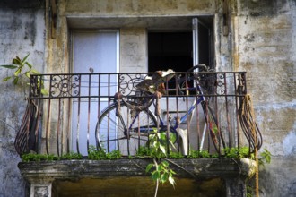 Bicycle in balcony of chawl, Lower Parel, Bombay Mumbai, Maharashtra, India 26-August-2009