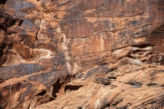 Rock carvings of the Nuwu and Southern Paiute, petroglyphs, Mouse's Tank, Valley of Fire State