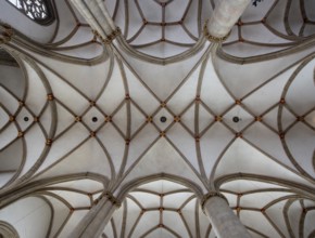 Münster/Westphalia, St Lamberti, vault in the nave