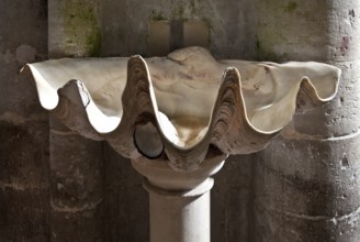 Fécamp Normandie, Sainte-Trinité, holy water font made from a giant fossil shell