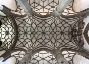 Net vault in the nave, St., Sankt, Saint