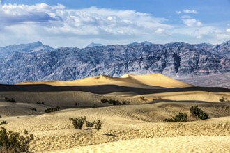 Hiker in the Mesquite Dunes, Death Valley National Park, California, USA, North America