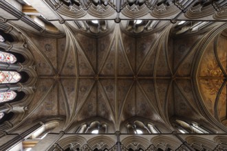 Lady Chapel, View into the vault, St., Saint, Saint