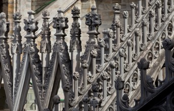 Roof zone in the area of the transept with wimpergen buttresses and 19th century branch, St.,