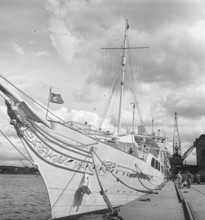 Ship in the harbour 1956. A Turkish passenger ship in Stockholm's harbour. A carved eagle adorning