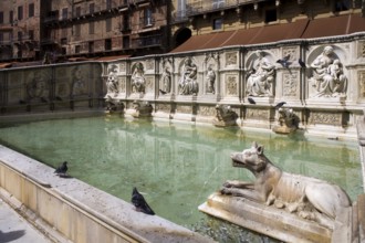 Siena, Piazza del Campo