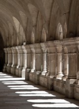 Fontenay former Cistercian monastery cloister arcades detail, St., Saint, Saint