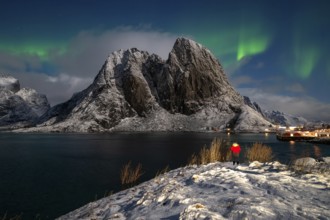 Northern Lights (Aurora borealis), Aurora Borealis, Lofoten, Norway, Europe