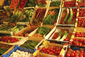 Fruits and vegetables mart, Germany, Europe