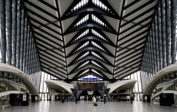 Lyon, Gare de Saint-Exupéry TGV, (formerly Gare de Satolas)