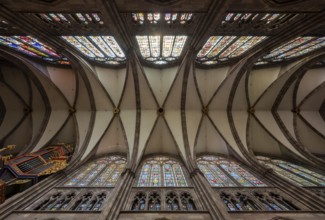 Strasbourg Cathedral, Cathédrale Notre-Dame de Strasbourg, vault of the central nave