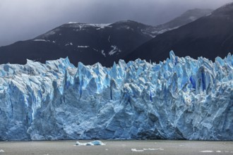 Perito Moreno Glacier, glacier tongue, glacier break, Los Glaciares National Park, Santa Cruz,