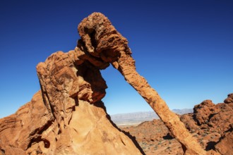 Elephant Rock, Valley of Fire State Park, Nevada, USA, North America