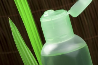 Green cosmetic bottle and green leaf. Studio shot