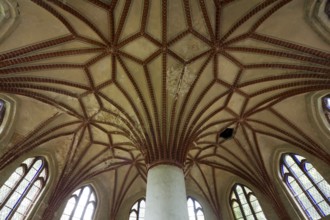 Vaulted ceiling, St., Saint, Saint