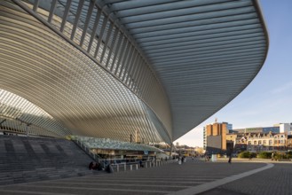 Liège, Liège-Guillemins railway station, design 2009 Santiago Calatrava, station forecourt