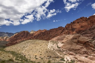 Hikers in the Calico Hills, Red Rock Canyon National Recreation Area, Nevada, USA, North America