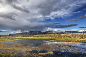 Wild thunderstorm and rain clouds on the Great Basin Highway US 93, between Ely and Baker, Nevada,